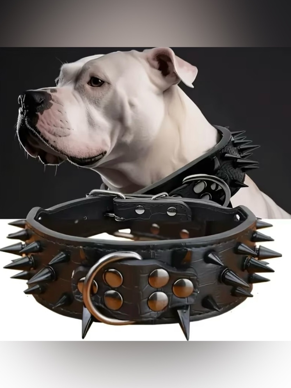 Faux Leather Dog Collar Spiked Pet Collar for Medium to Large Dogs | SIZE LARGE